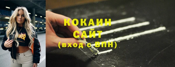 ПСИЛОЦИБИНОВЫЕ ГРИБЫ Бородино