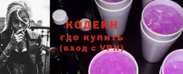 ГАЛЛЮЦИНОГЕННЫЕ ГРИБЫ Верея