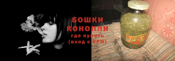 винт Пересвет
