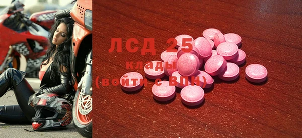 ПСИЛОЦИБИНОВЫЕ ГРИБЫ Бородино