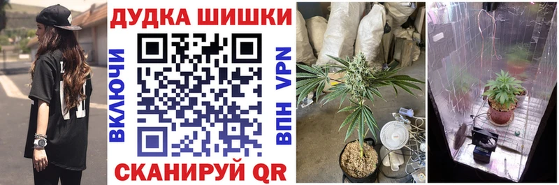 блэк спрут зеркало  купить закладку  Могоча  Бошки Шишки Amnesia 